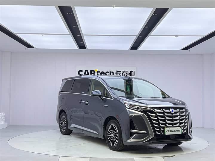 Фото 7 - Denza D9