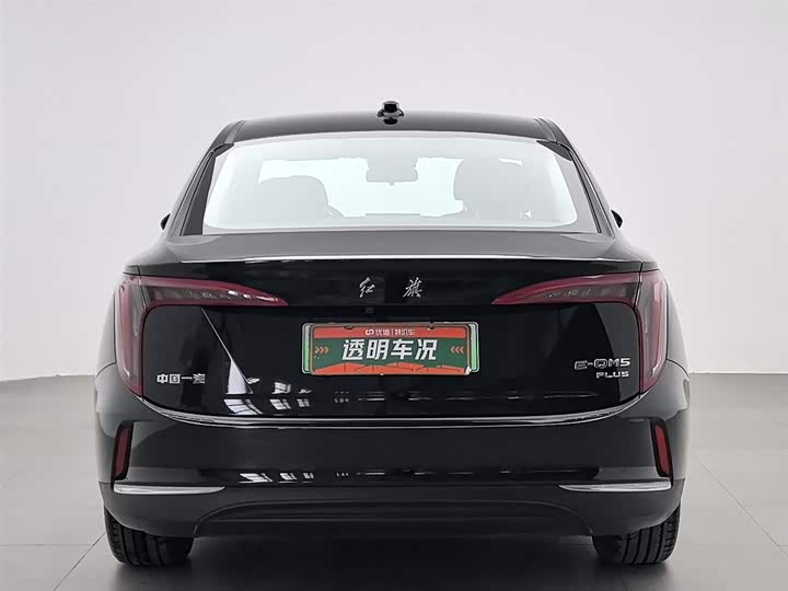 Фото 4 - Hongqi E-QM5