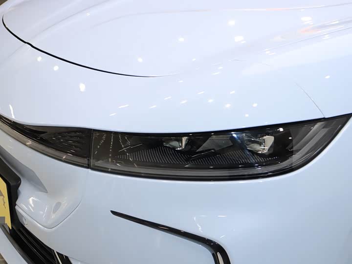 Фото 4 - Voyah Passion