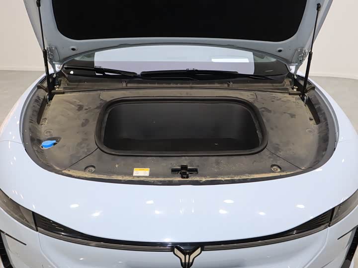 Фото 8 - Voyah Passion