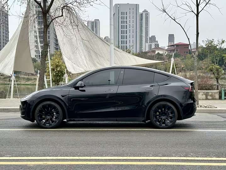 Фото 3 - Tesla Model Y