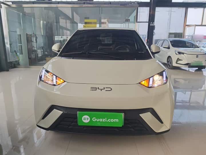 Фото 3 - BYD Seagull