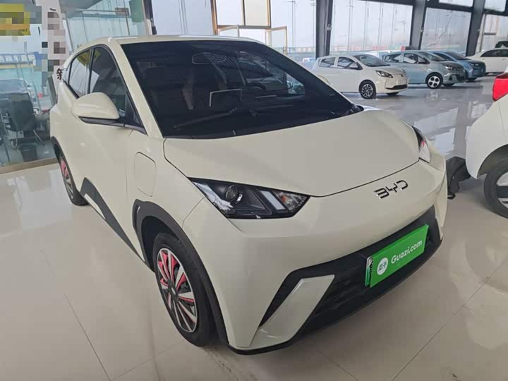 Фото 4 - BYD Seagull