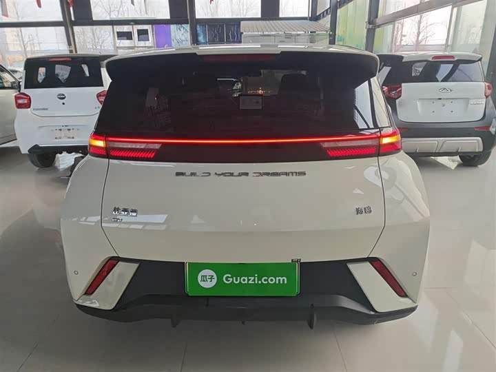 Фото 6 - BYD Seagull