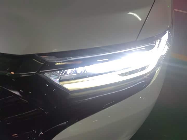 Фото 5 - Honda Elysion