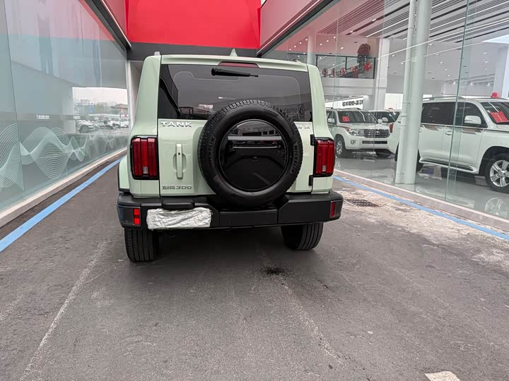 Фото 5 - Tank 300