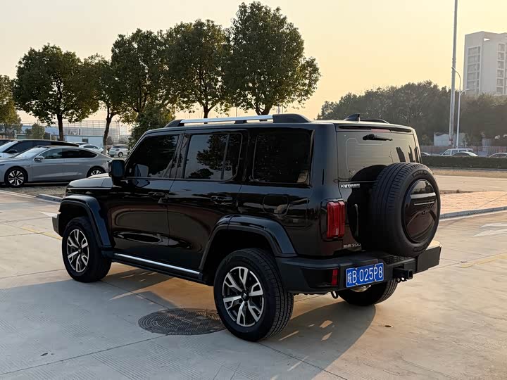 Фото 5 - Tank 300