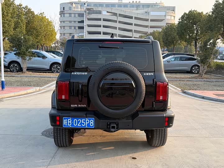 Фото 6 - Tank 300