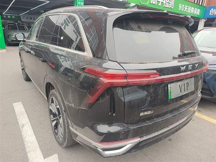 Фото 5 - Wey Lanshan