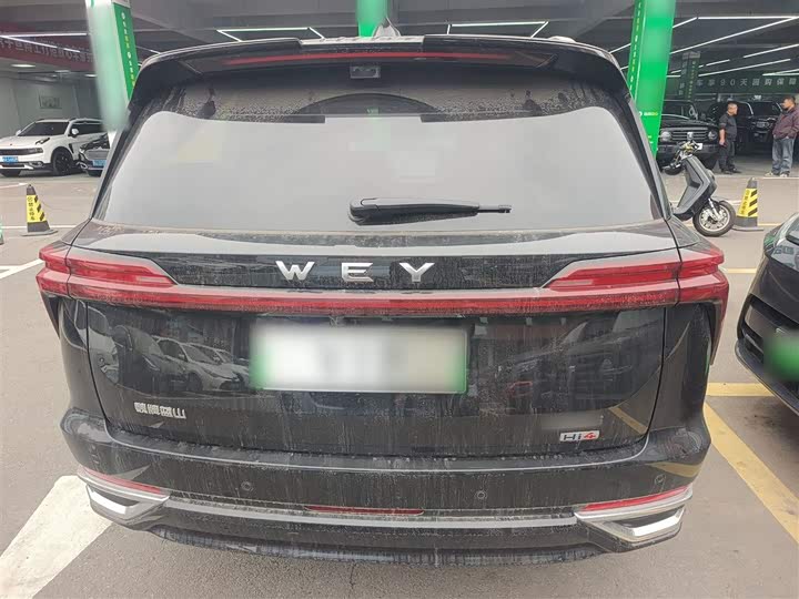 Фото 6 - Wey Lanshan