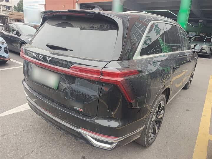 Фото 7 - Wey Lanshan