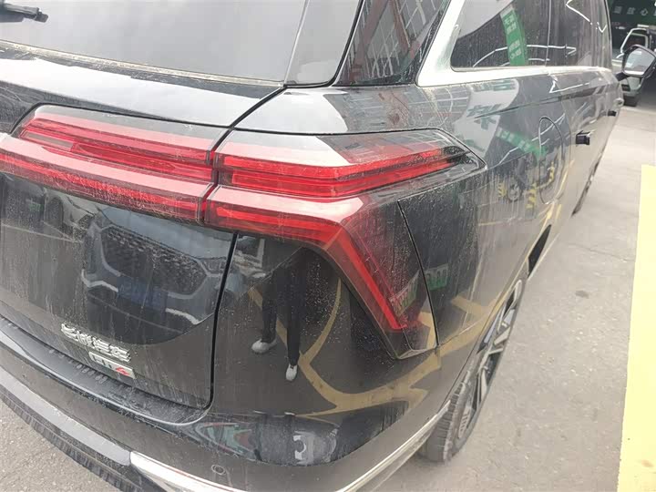 Фото 8 - Wey Lanshan