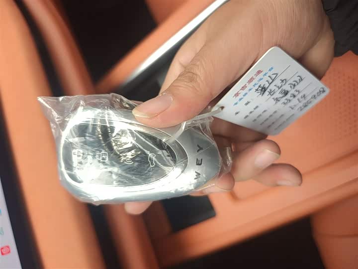 Фото 9 - Wey Lanshan