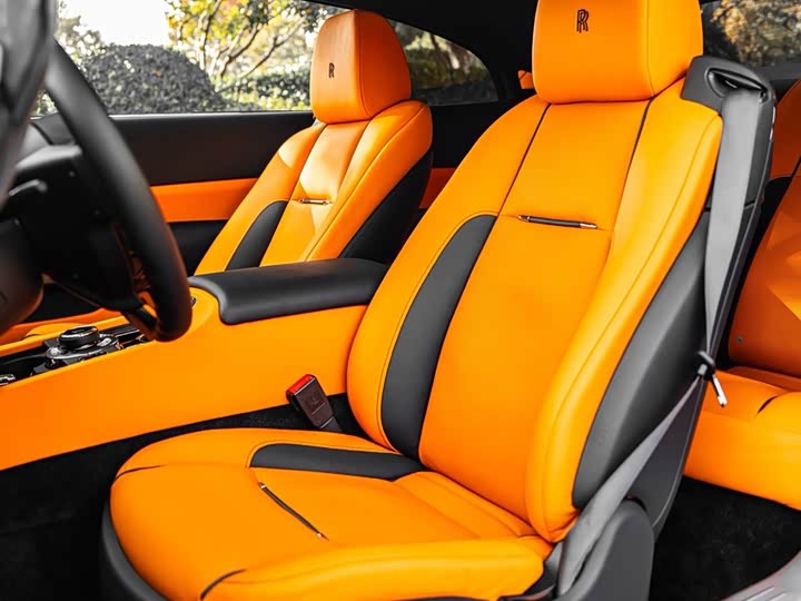 Фото 9 - Rolls-Royce Wraith