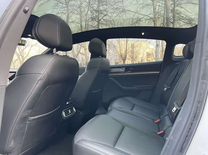 Фото 8 - Hozon S