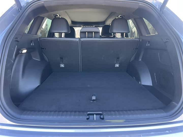 Фото 6 - Geely Monjaro