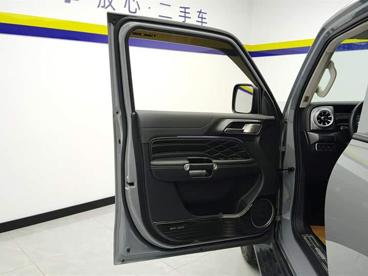 Фото 7 - Tank 300