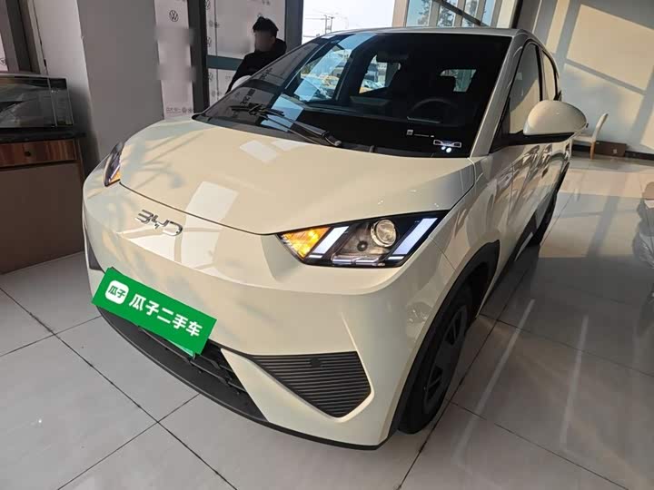 Фото 2 - BYD Seagull