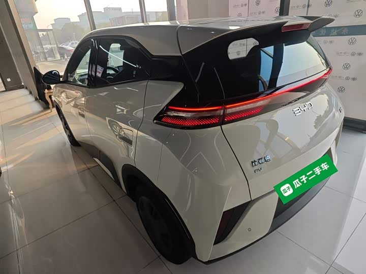 Фото 5 - BYD Seagull