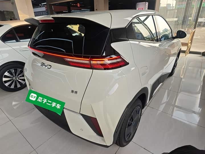 Фото 7 - BYD Seagull