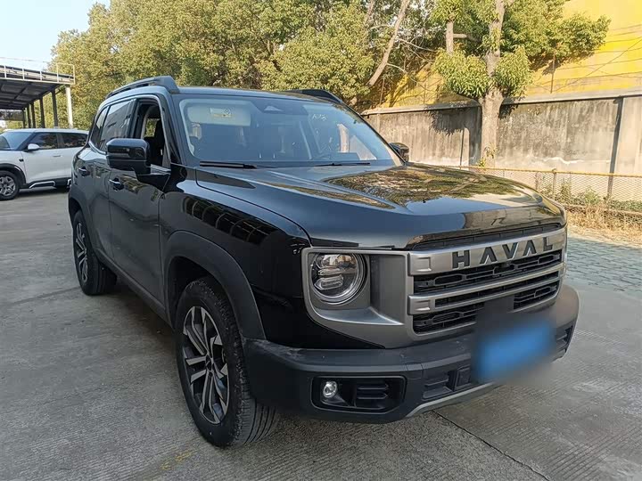 Фото 4 - Haval Dargo