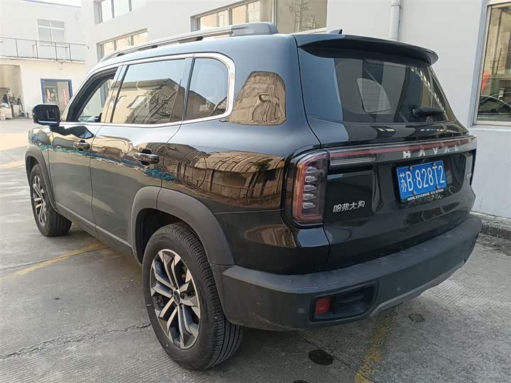 Фото 5 - Haval Dargo