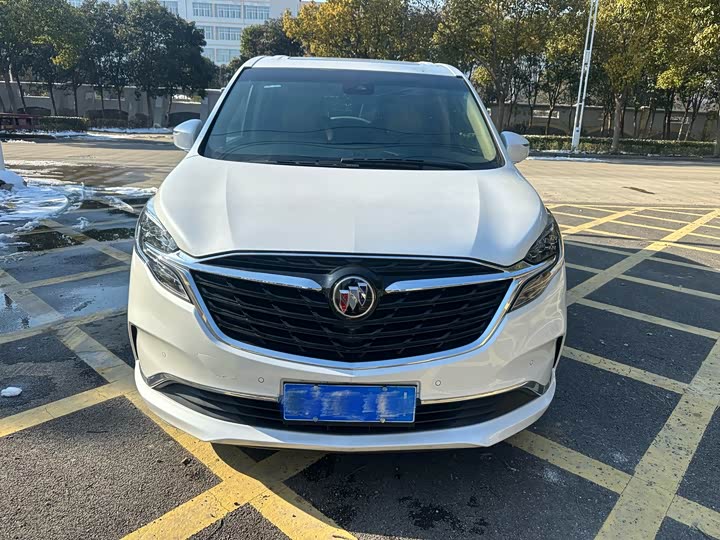 Фото 1 - Buick GL8 ES