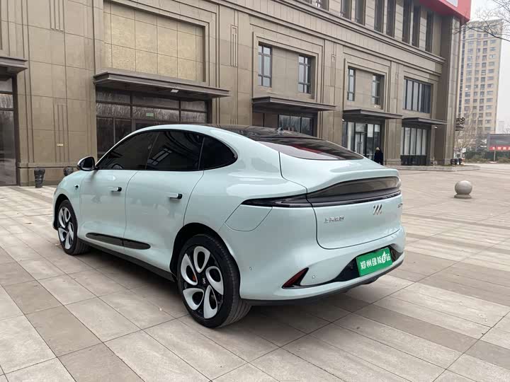 Фото 7 - IM motors LS6