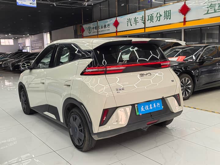 Фото 4 - BYD Seagull