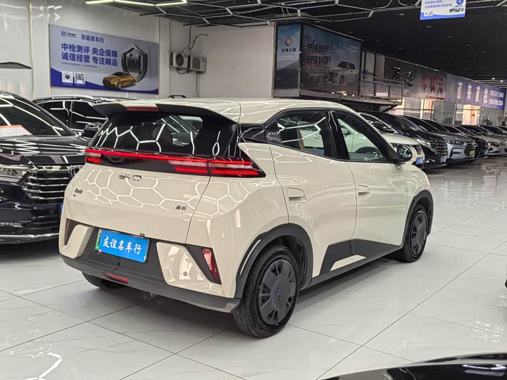 Фото 6 - BYD Seagull