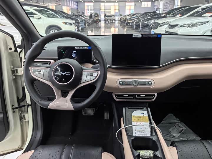 Фото 9 - BYD Seagull