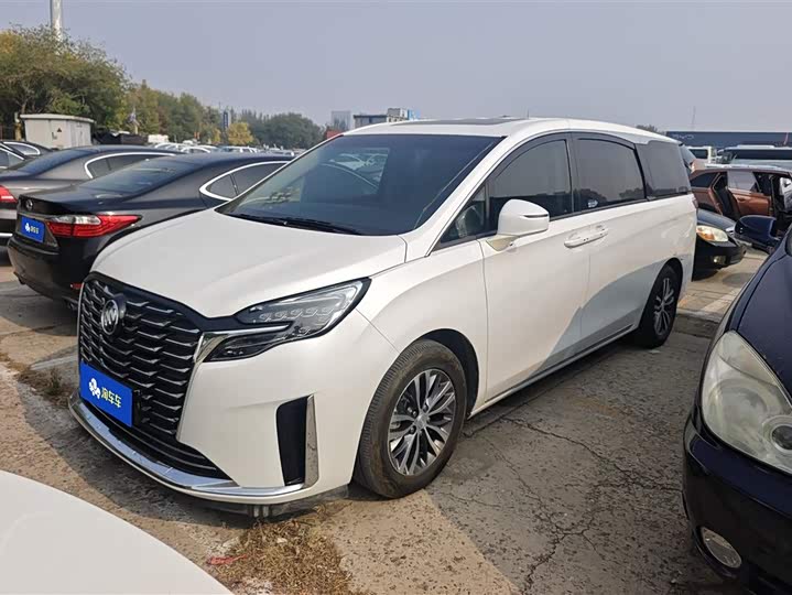 Фото 1 - Buick GL8 ES