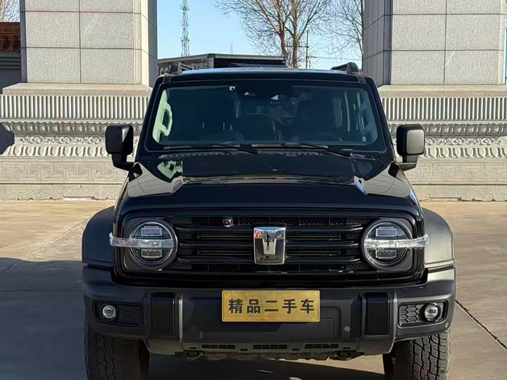 Фото 2 - Tank 300