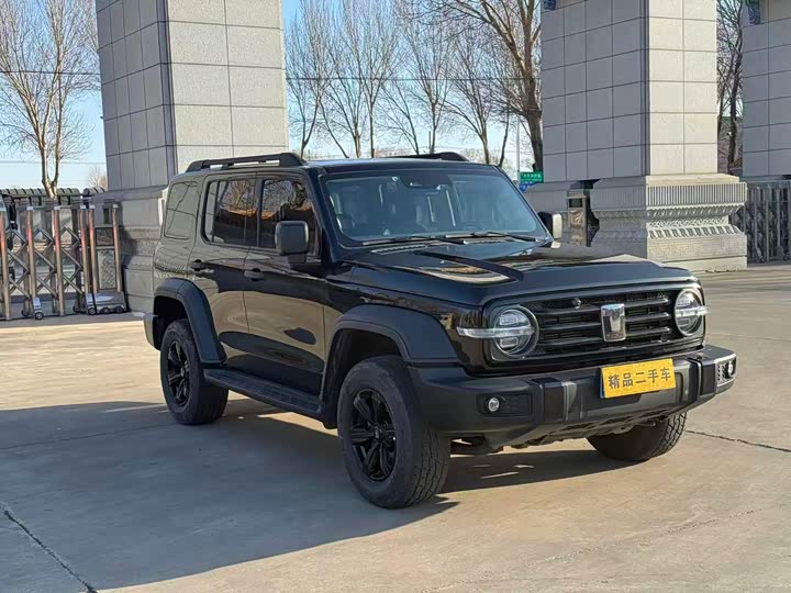 Фото 3 - Tank 300