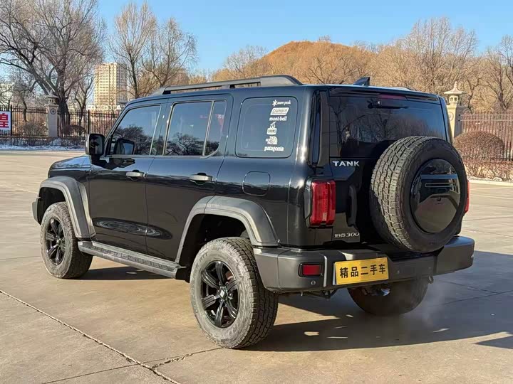 Фото 4 - Tank 300