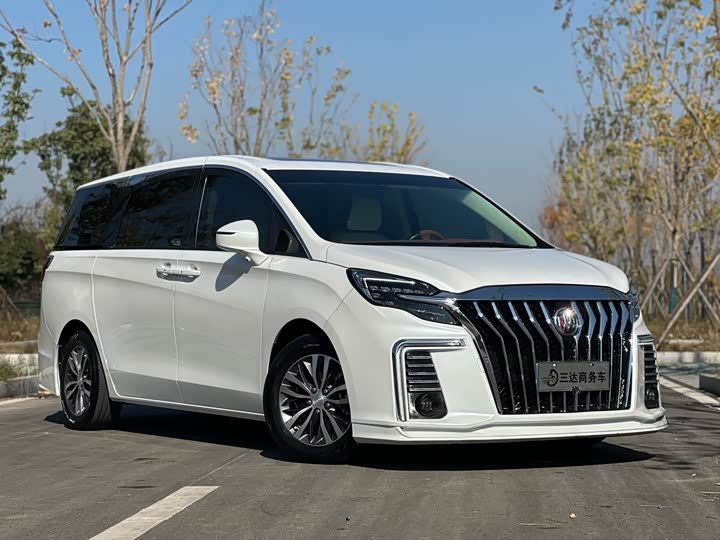 Фото 3 - Buick GL8 ES