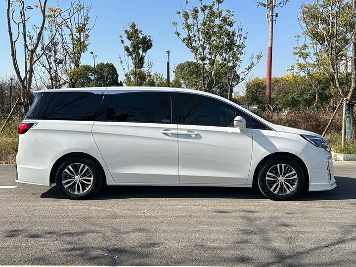 Фото 4 - Buick GL8 ES