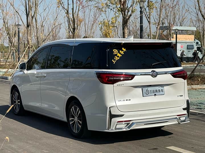 Фото 7 - Buick GL8 ES