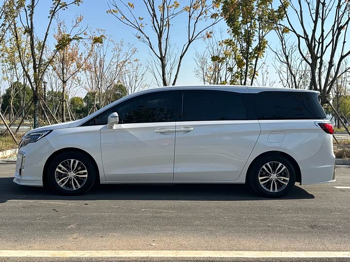 Фото 8 - Buick GL8 ES