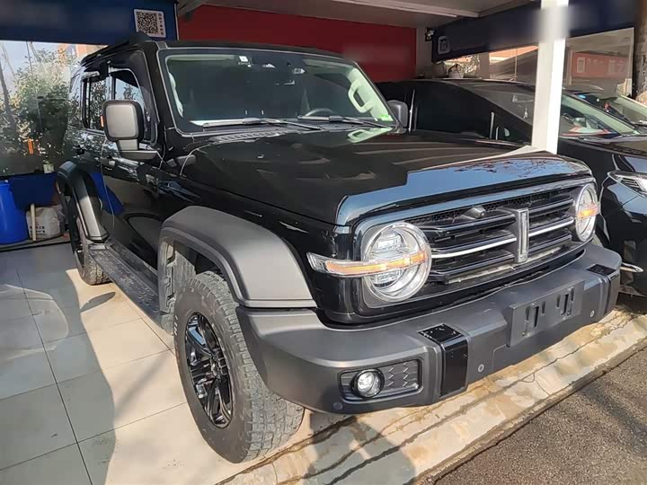 Фото 4 - Tank 300