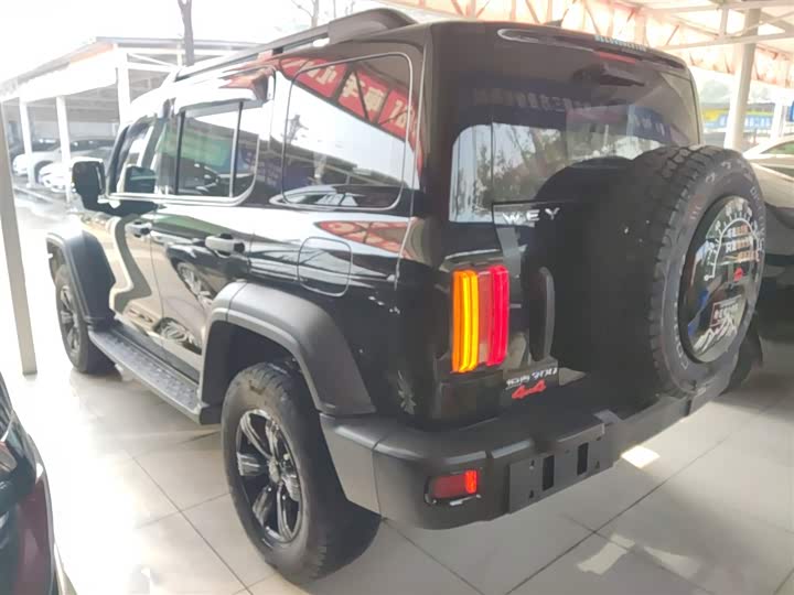 Фото 5 - Tank 300