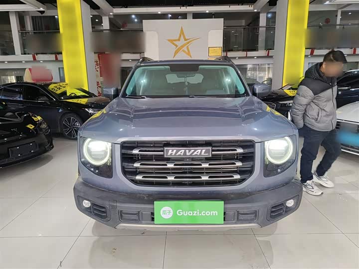 Фото 3 - Haval Dargo