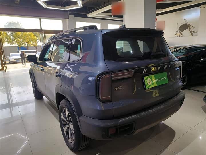 Фото 5 - Haval Dargo