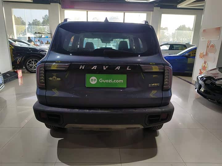 Фото 6 - Haval Dargo