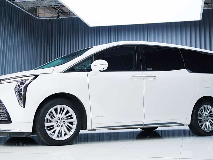 Фото 4 - Buick GL8 Century