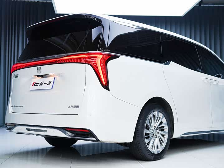 Фото 5 - Buick GL8 Century