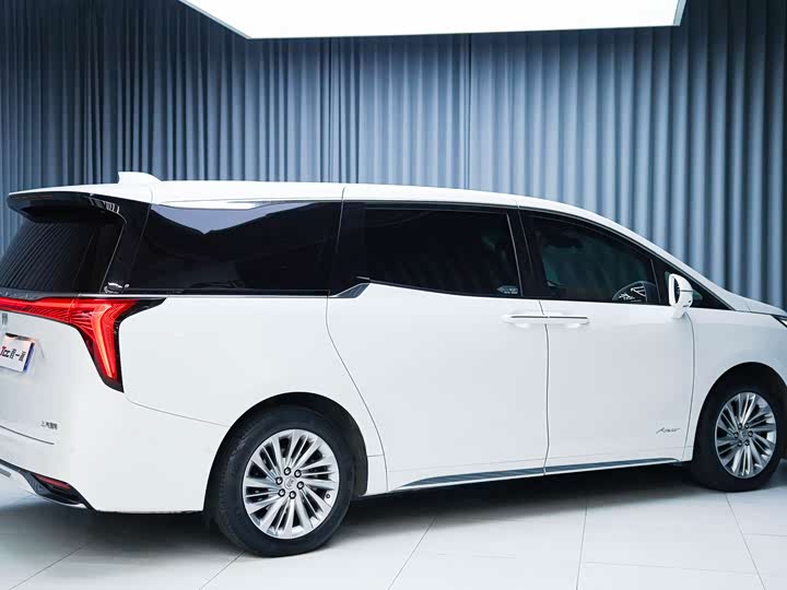 Фото 6 - Buick GL8 Century