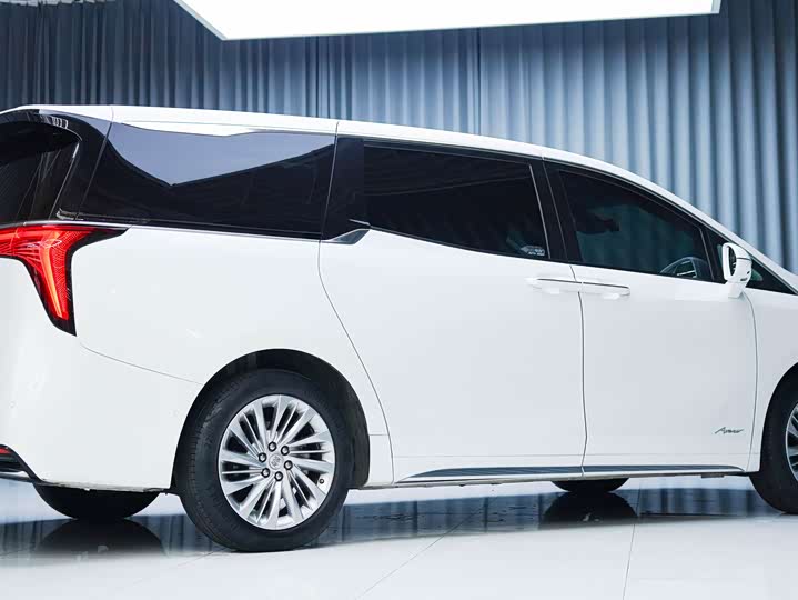 Фото 7 - Buick GL8 Century