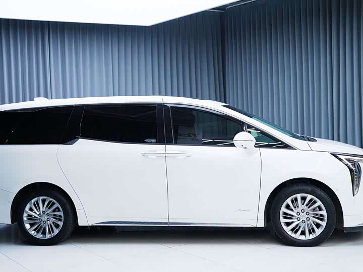 Фото 8 - Buick GL8 Century