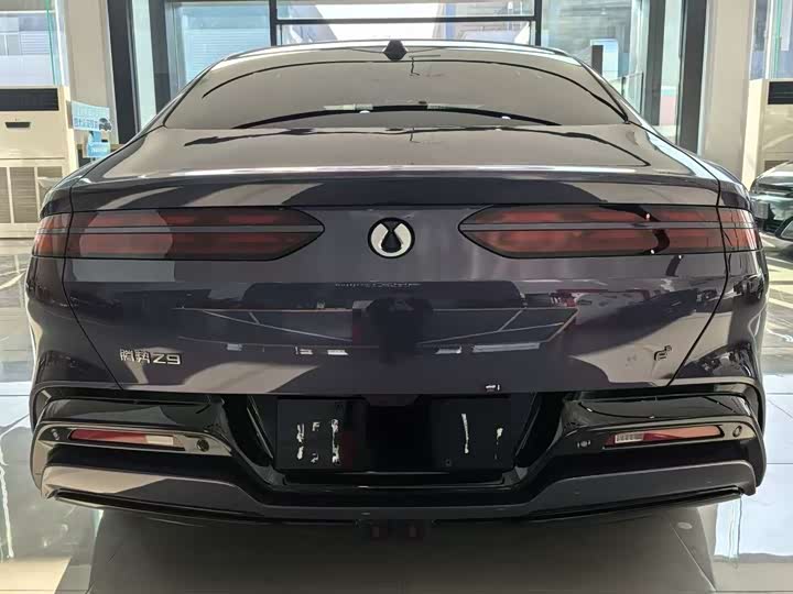 Фото 9 - Denza Z9